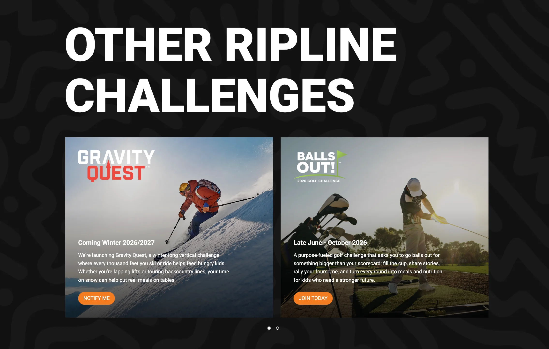 Ripline Foundation Challenges Section