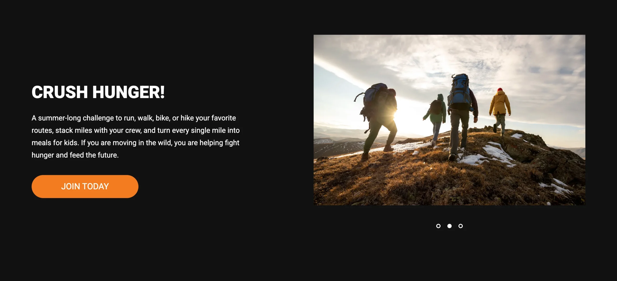 Ripline Foundation Slideshow Section